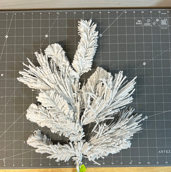 White Pine SPRAY 24"