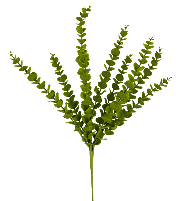 Eucalyptus Spray H28