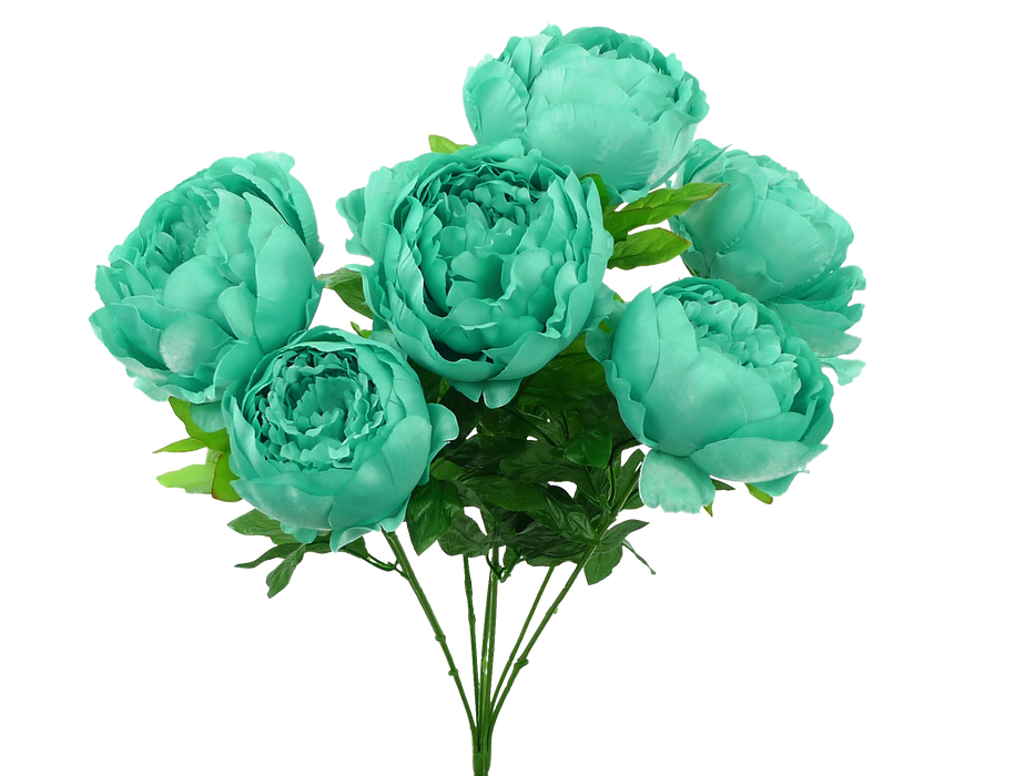 Peony Bush x7 Teal