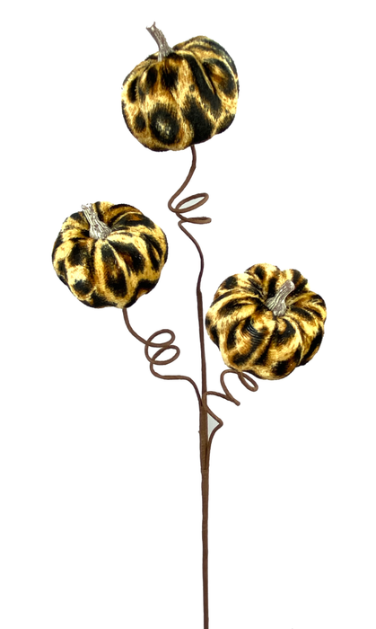 CHEETAH PUMPKIN STEM X 3 '/
