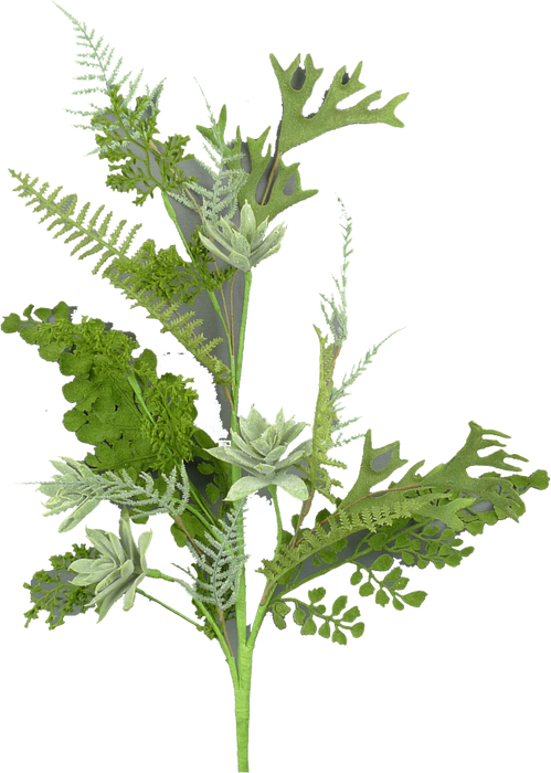 Succulent LVS Spray 28L