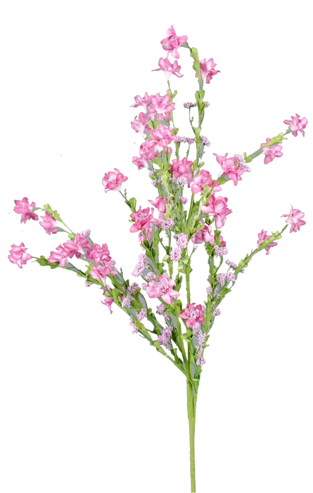 MI Daisy Spray