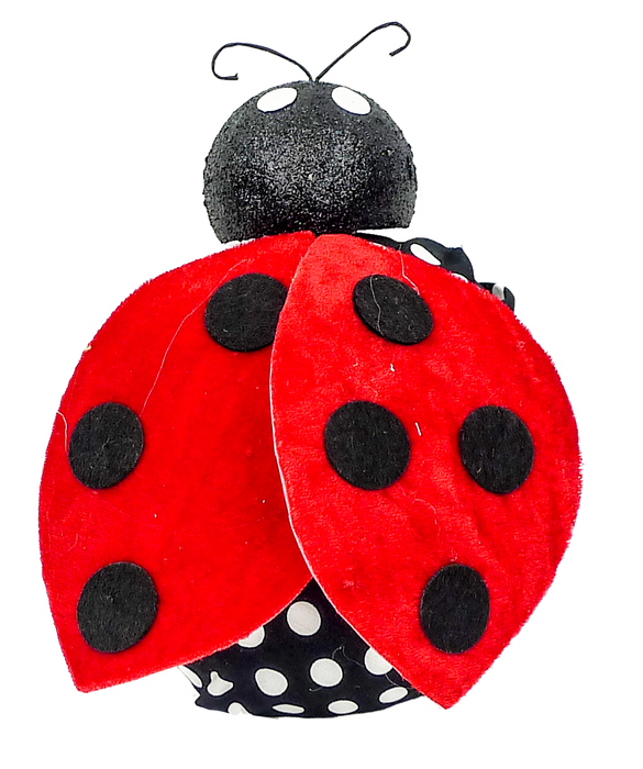 Ladybug