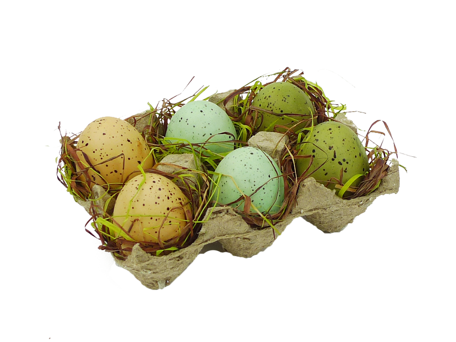Egg in Tray x 6