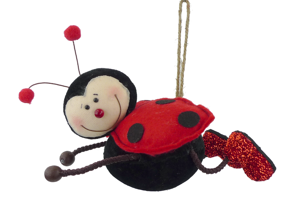 Ladybug