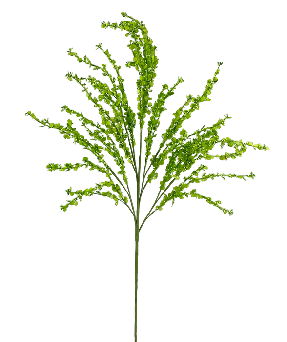Berry Spray Green 62887GN