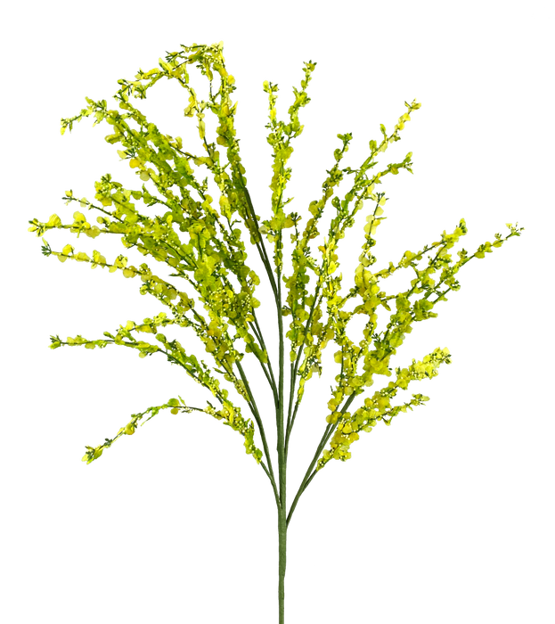 Berry Spray Yellow 62887