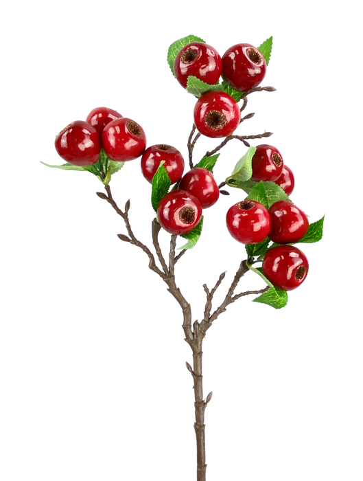 Berry Spray Red