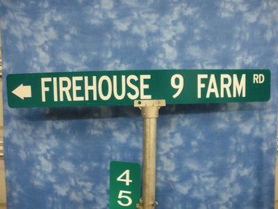 48 Inch Street Sign