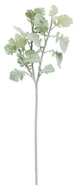 Dusty Miller 16" Grey