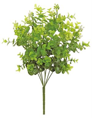 SEEDING EUCALYPTUS X 7. 19"; PE, TWO-TONE GREEN,