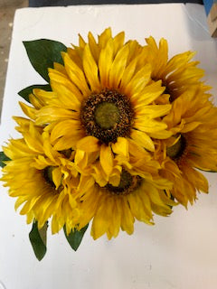 YELLOW Sunflower Bush