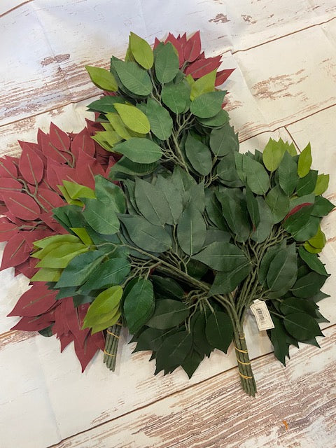Burgundy/Green Ficus Leaves