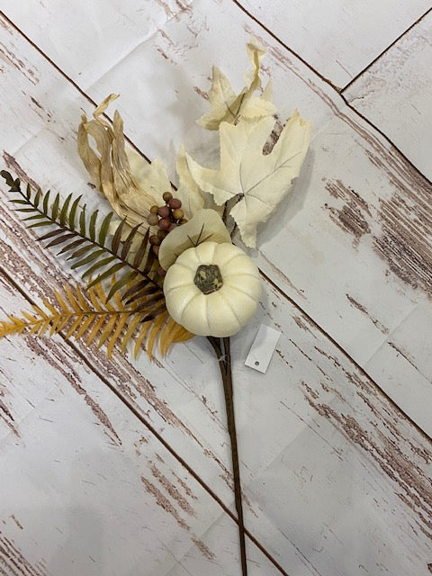 Pumpkin Maple Pick