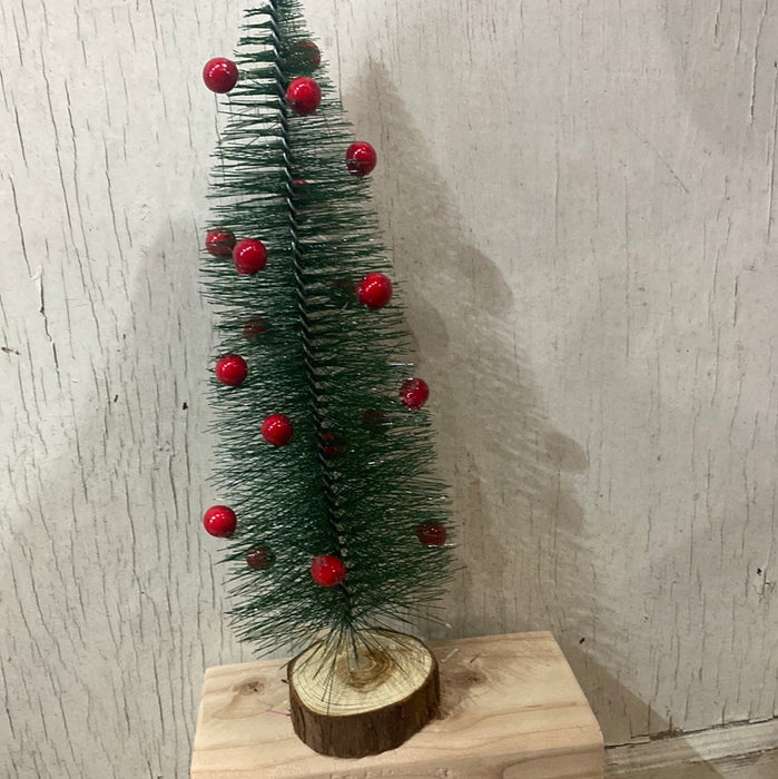 BOTTLE TREE With Berries