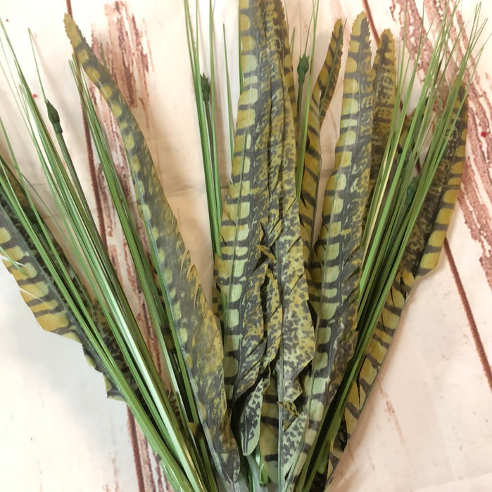 GREEN GRASS FEATHER BUSH