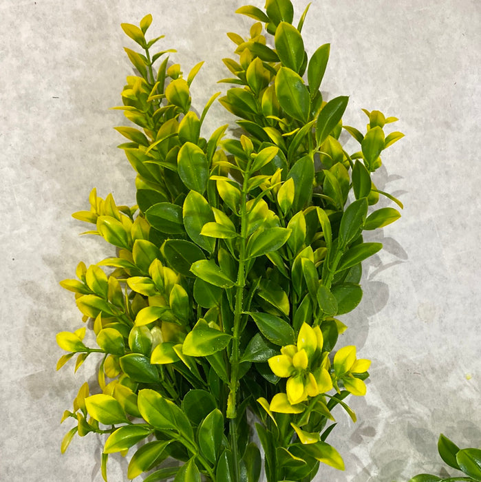 GREENERY WITH COLORED TIP