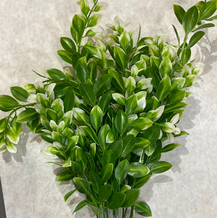 GREENERY WITH COLORED TIP