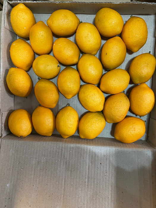 Faux Fruit Lemon