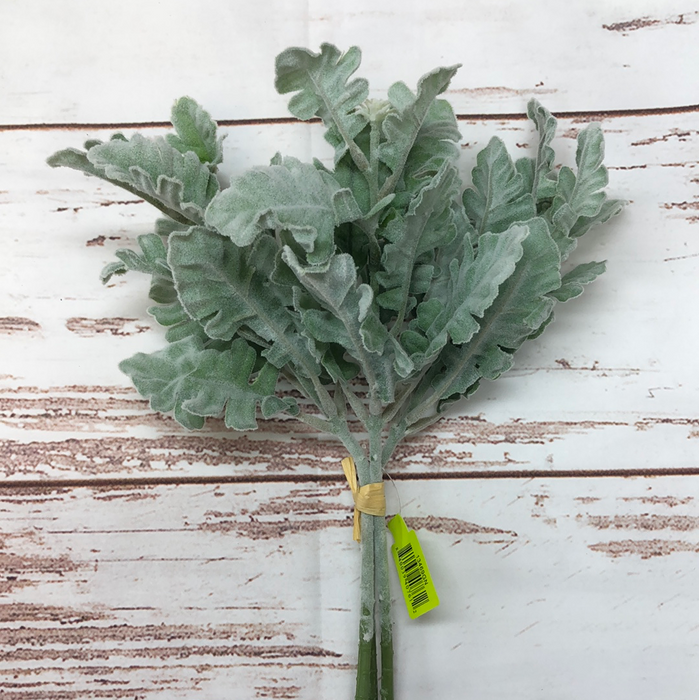 Three Stem Dusty Miller Bundle
