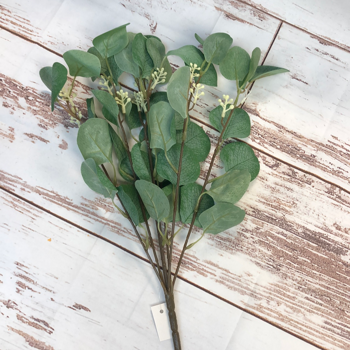 Eucalyptus Berry
