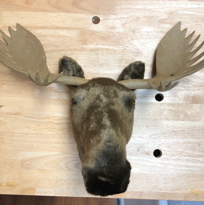 Moose Wall Hanger