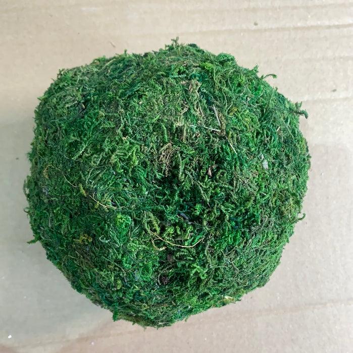 MEDIUM MOSS BALL