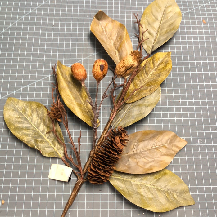 Magnolia leaves with Pine Cones