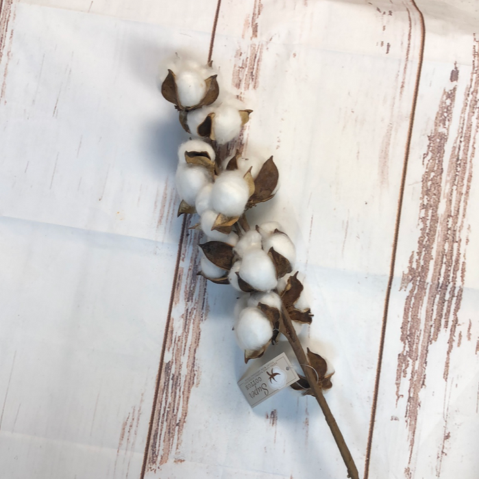 22 inch Super Cotton Pick
