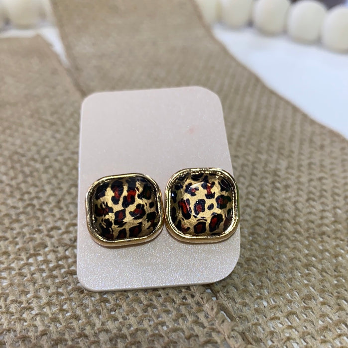 CHEETAH  STUDS