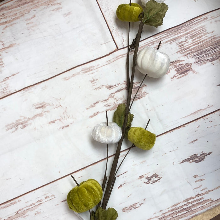 Velvet Pumpkin Pick White and Green