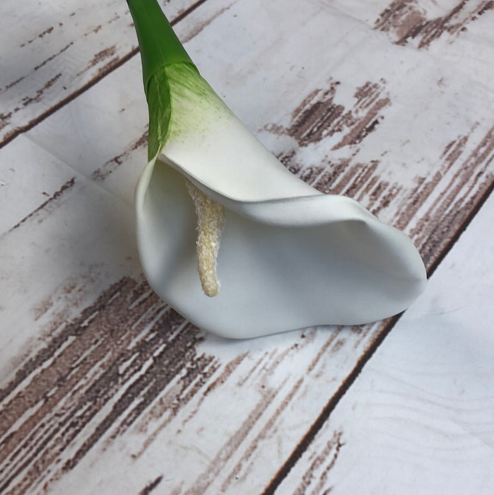 CREAM REAL FEEL CALLA LILY