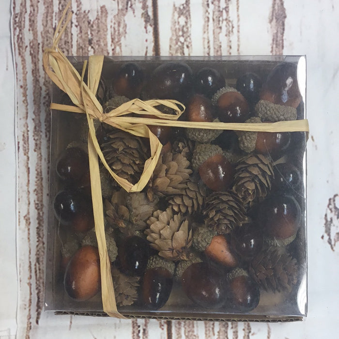 BOX OF BROWN ACORNS WITH PINECONES