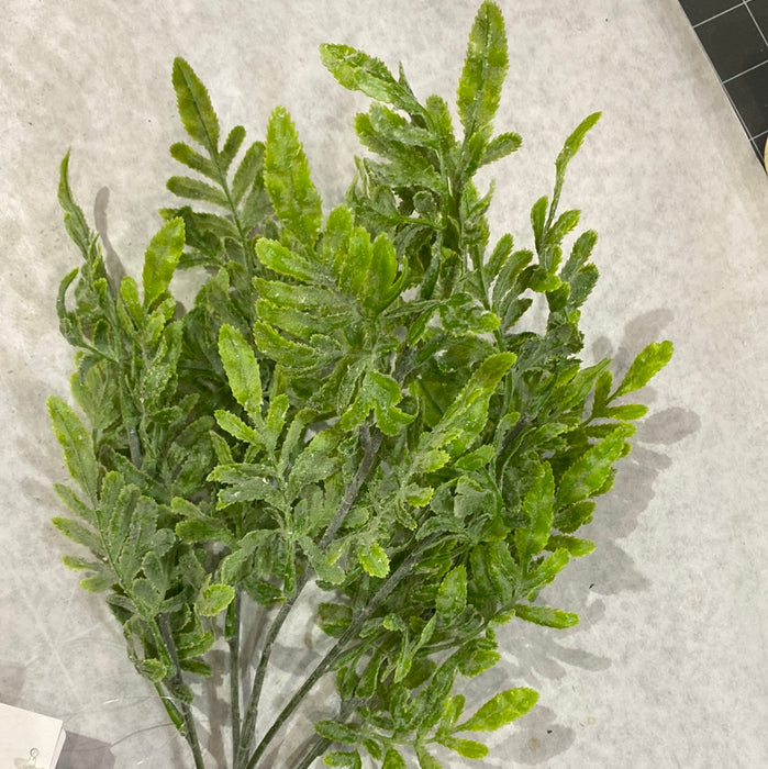 FRILLED FERN LEAVES