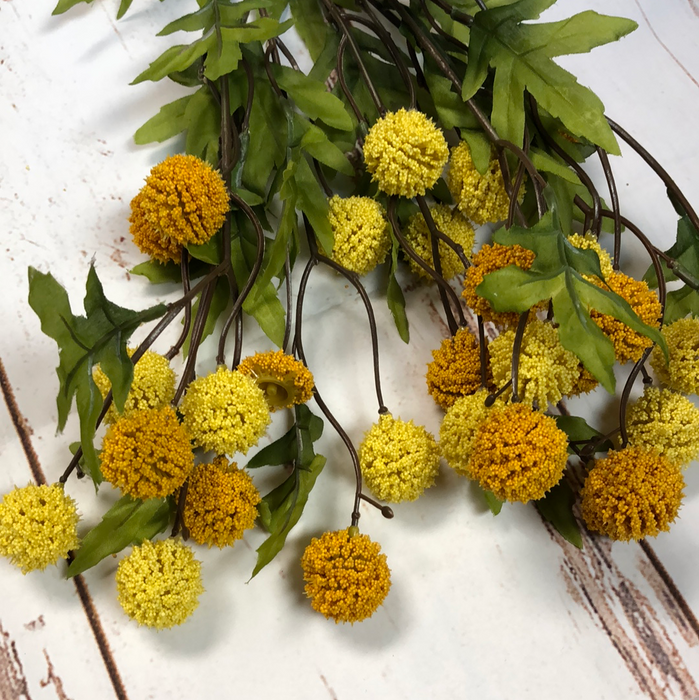 Two Tone Yellow Berry Ball Bush
