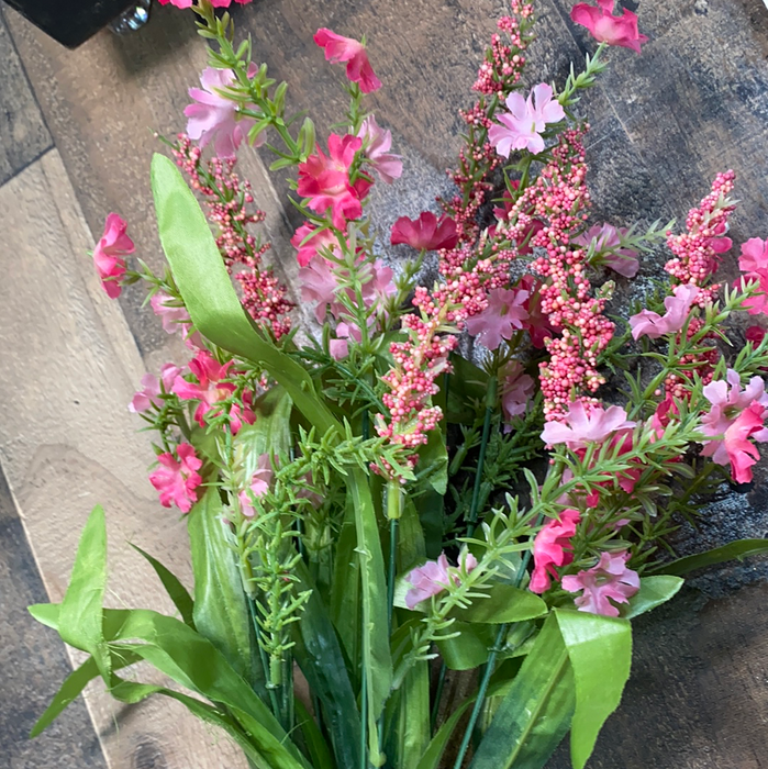 Gypso Bush