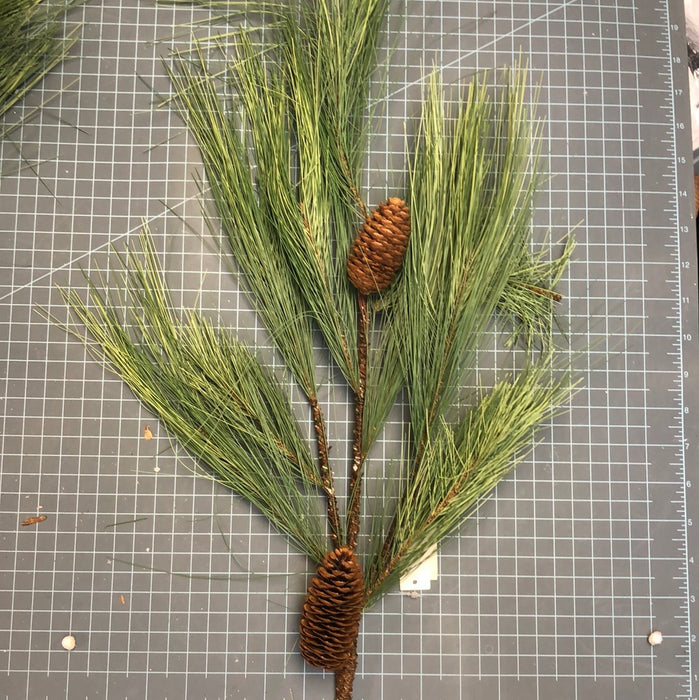 34" LONG NEEDLE PINE