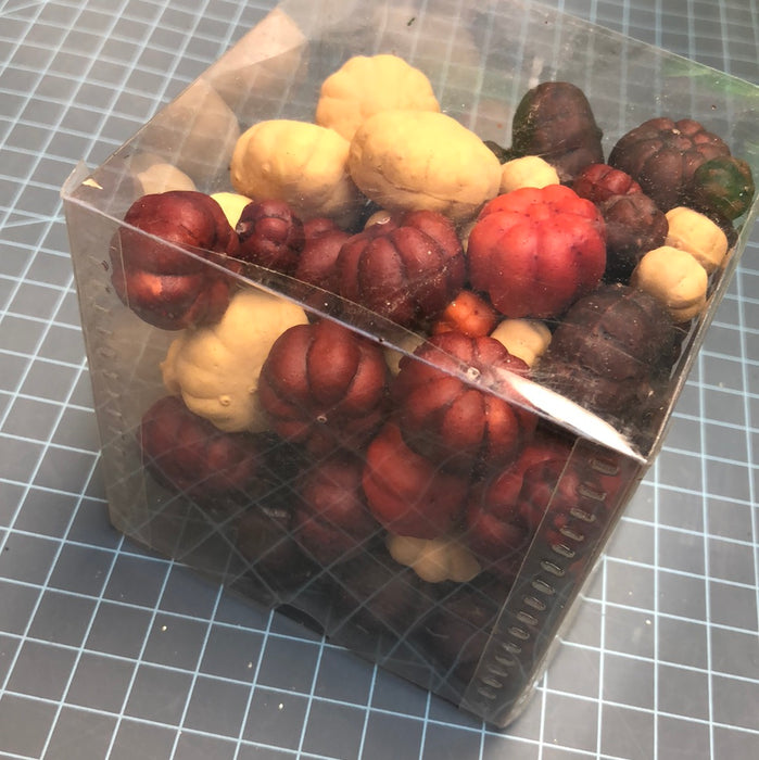 Mini Pumpkin Assortment