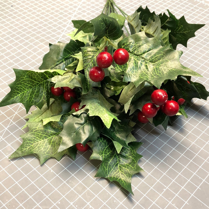 HOLLY BUSH