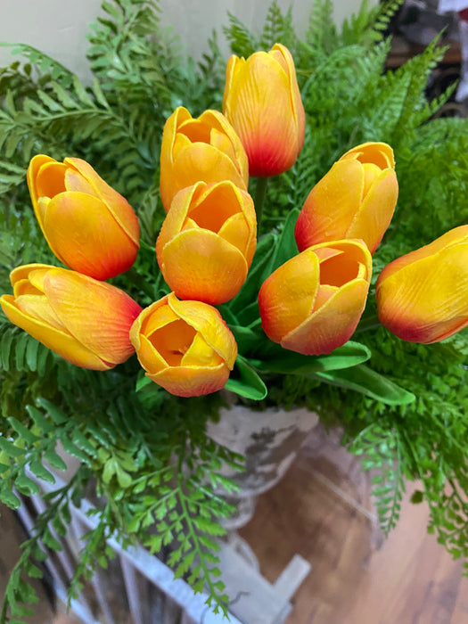 TULIP BUNDLE