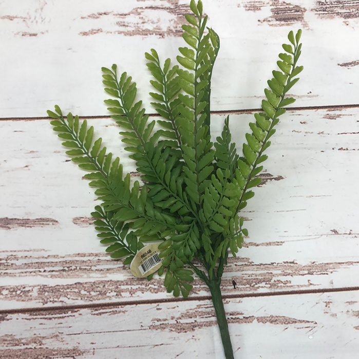 13" Fern Bush