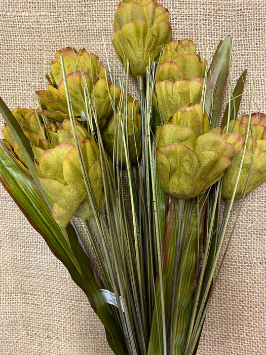 Artichoke Bush