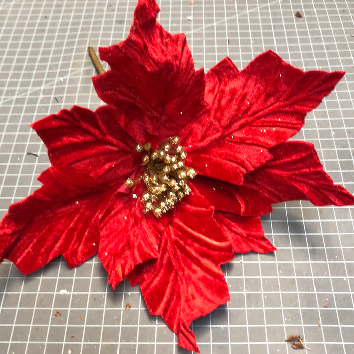 RED VELVET POINSETTIA