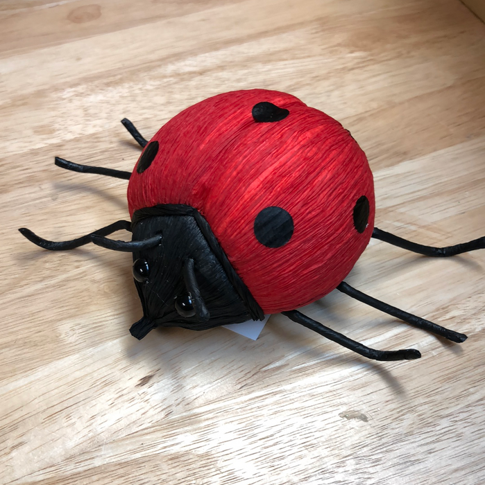 Small Lady Bug