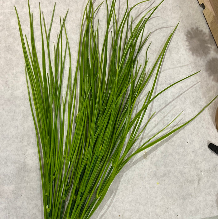 GREEN tip Grass