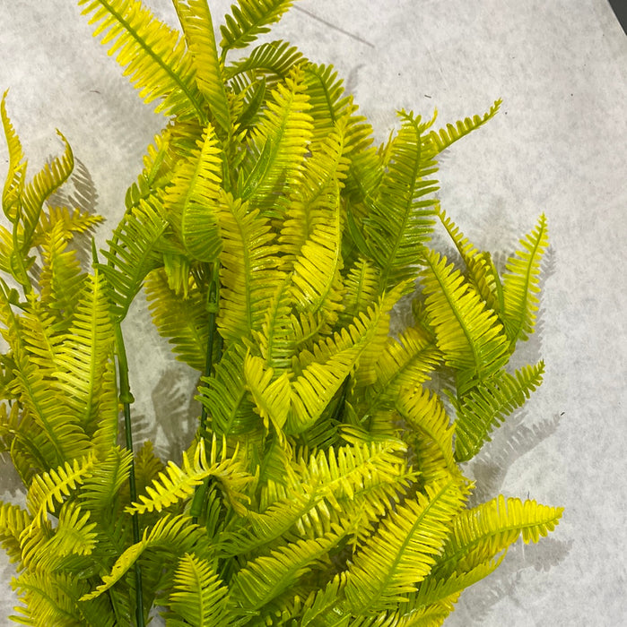 YELLOW Tip  Two Tone Mini Fern Bush