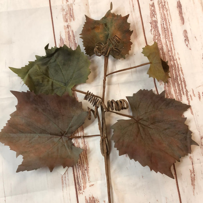 FALL MAPLE AND TWIG STEM