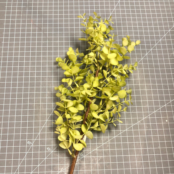 LIGHT GREEN EUCALYPTUS SPRAY