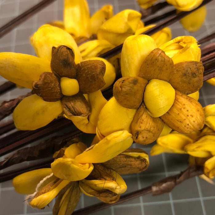 Ting Lara Flower Branches - Sunkist