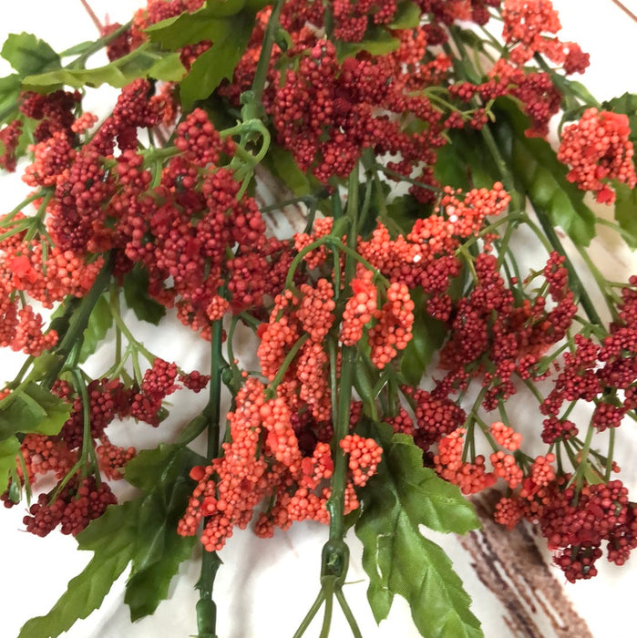Burgandy Gypso Bush